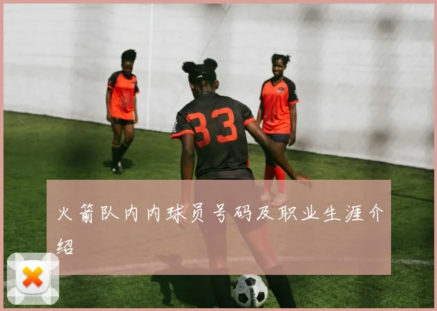 火箭队内内球员号码及职业生涯介绍
