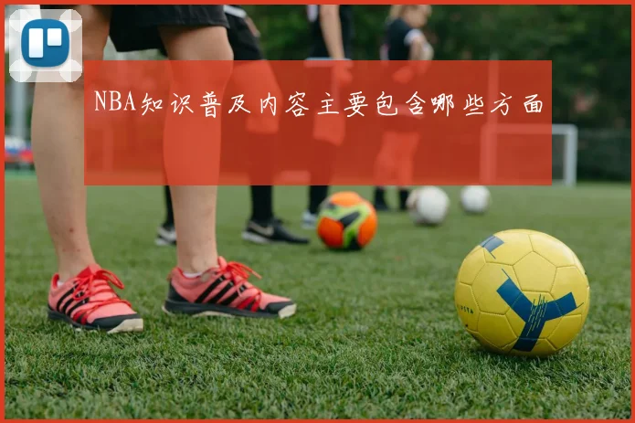 NBA知识普及内容主要包含哪些方面