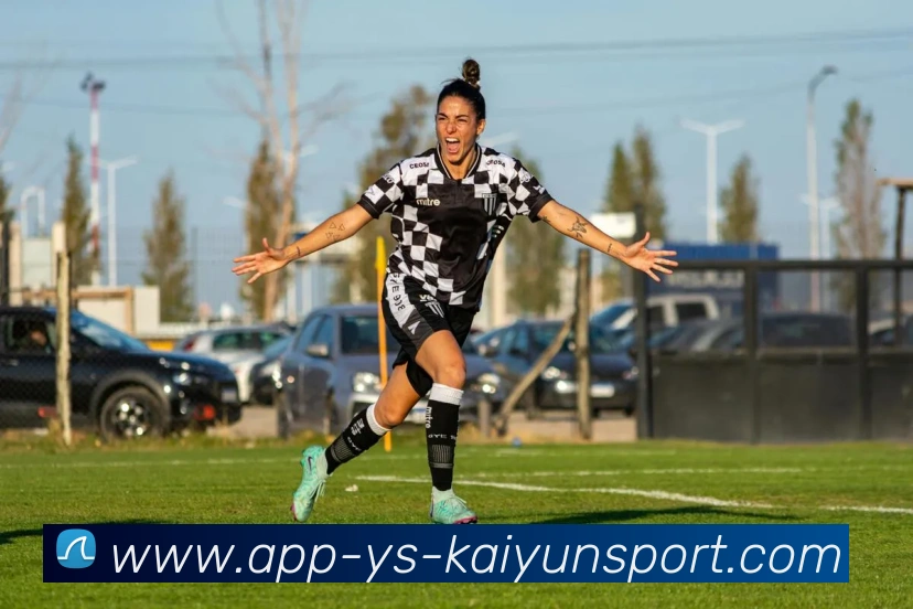 开云APP平台生态图