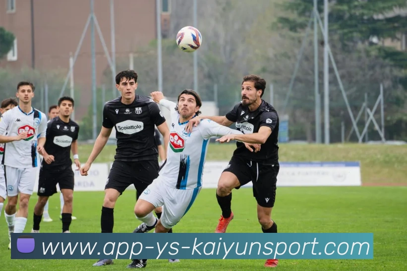 开云APP全站App 开云APP全站App