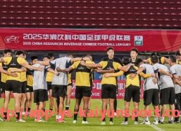 开云体育官网app下载-2019赛季广东省CBA球队数量及表现分析