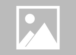 开云体育官网app下载-世俱杯球员年龄结构分析探索年轻化趋势影响